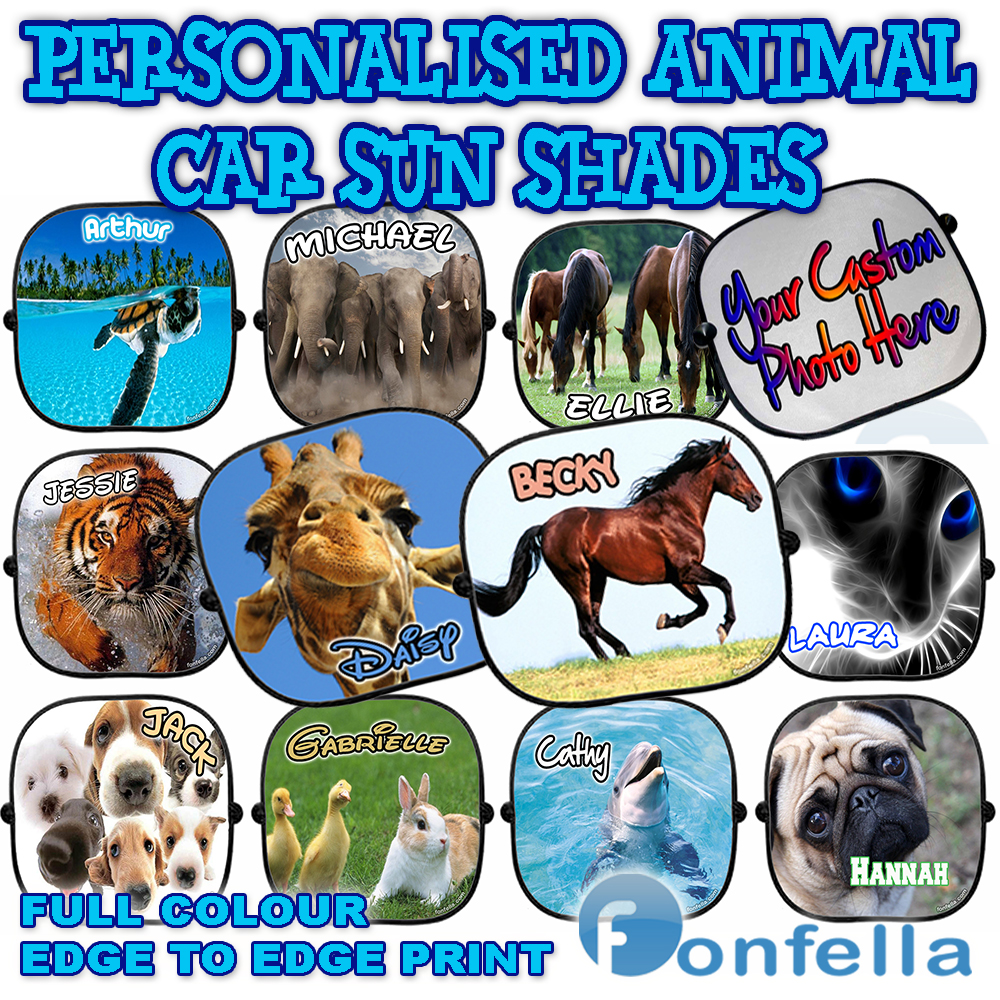 personalised sunscreens for cars